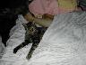 Pouse in Bed