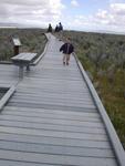 On the Boardwalk at Cariza Plains